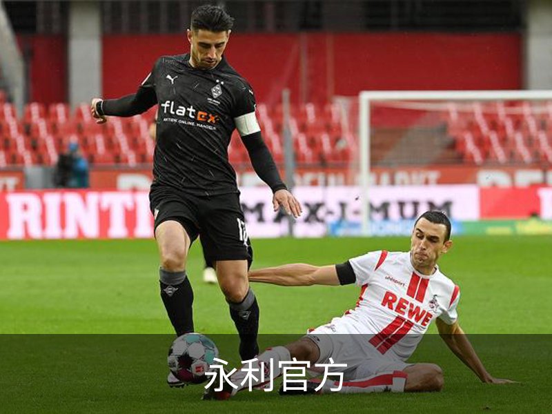 永利官方介绍
